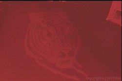 'Azn Super Idols' screenshot nº 138
