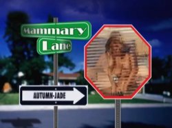 'Mammary Lane' screenshot nº 1