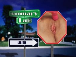 'Mammary Lane' screenshot nº 2