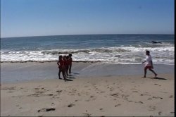 Captura de 'Black Beach Patrol 10' nº 42