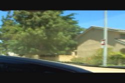'Mr. Big Dicks Hot Chicks' screenshot nº 72