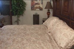 'Women Seeking Women Vol. 53' screenshot nº 108