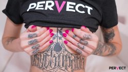'Pervect Hardcore' screenshot nº 2