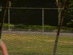 'KC At The Bat' screenshot nº 3