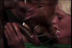 'American Cocksucking Championship 2' screenshot nº 83