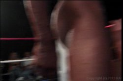 'American Cocksucking Championship 2' screenshot nº 87