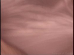 'Greatest Anal Orgy' screenshot nº 80