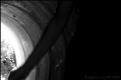 'Crescendo' screenshot nº 3