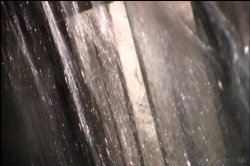 'Crescendo' screenshot nº 129