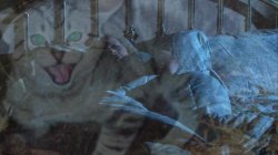 'Partly Stormy' screenshot nº 52