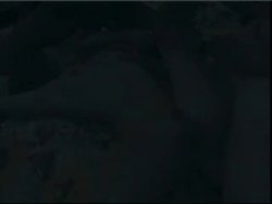 Captura de 'Real Sex Magazine - 18 and Anal' nº 104
