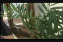 Captura de 'X-treme Rubber Girls' nº 95