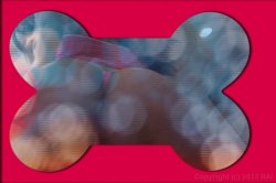 'Phattylicious 6' screenshot nº 2