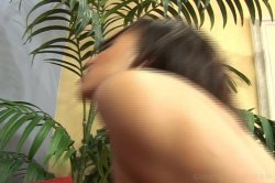 'Phattylicious 6' screenshot nº 28