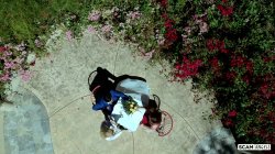Captura de 'Scam Angels Vol. 13: Blackmail Footage' nº 91