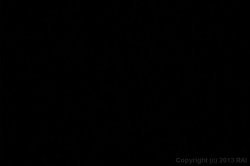'Internal Cumbustion Cream Pies 12' screenshot nº 25