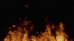 Captura de 'Schoolgirl Massacre 2' nº 1