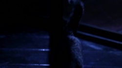 'Almost Caught' screenshot nº 65