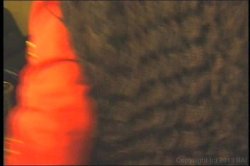'Isis Blue 2' screenshot nº 107
