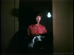'Cafe Flesh' screenshot nº 111