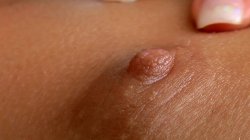 'Der Dildo Orgasmus 7' screenshot nº 17