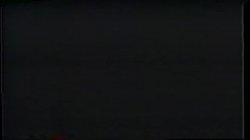Captura de 'Sex Professionals' nº 22