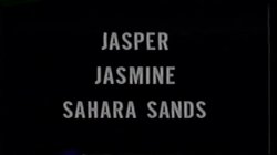 Captura de 'Sex Professionals' nº 3