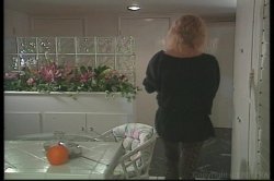 Captura de 'Back to Melrose Place' nº 131