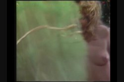 'John Holmes: Three Disc Classic Collection Vol. 2, The' screenshot nº 127