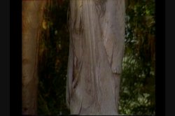 'John Holmes: Three Disc Classic Collection Vol. 2, The' screenshot nº 44