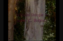 'John Holmes: Three Disc Classic Collection Vol. 2, The' screenshot nº 45
