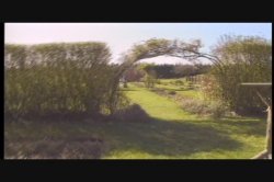 Captura de 'Rocco's True Anal Stories' nº 115