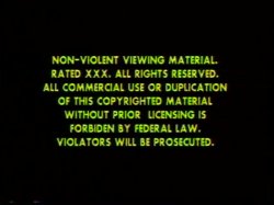 Captura de 'Bobby Hollander's Breast Worx #25' nº 140