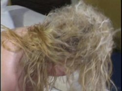 'Titty Mania 8' screenshot nº 40
