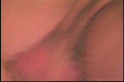 Captura de 'Zero To Horny in 6 Seconds' nº 81
