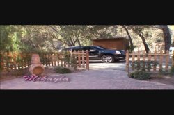 Captura de 'Pink Paradise 3' nº 2
