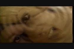 'Dirty Debutantes 125' screenshot nº 117
