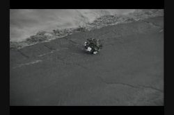 Captura de 'Here Cum The Brides 2' nº 5