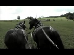 'Jiggling Jugs' screenshot nº 89