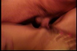 'Only the Best of Seymore Butts 3' screenshot nº 41