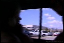 'Only the Best of Seymore Butts 3' screenshot nº 84
