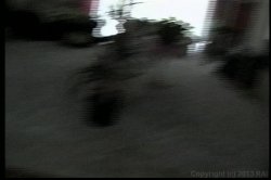 'Only the Best of Seymore Butts 3' screenshot nº 85