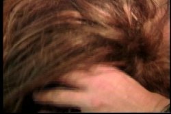 'Only the Best of Seymore Butts 3' screenshot nº 140