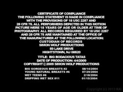'Bodacious Tatas' screenshot nº 1
