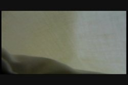 'Seymore Butts' Blue Ribbon Butt Fucks #5' screenshot nº 46