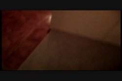 'Seymore Butts' Blue Ribbon Butt Fucks #5' screenshot nº 93