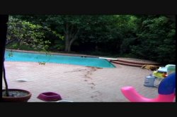 'Seymore Butts' Blue Ribbon Butt Fucks #5' screenshot nº 132