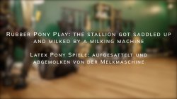 Captura de 'Rubber Pony Play the stallion got saddled up and milked by a milking machine' nº 3