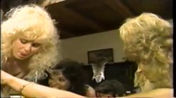 'Anal Annie's All-Girl Escort Service' screenshot nº 138