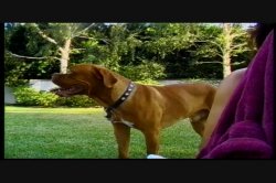 Captura de 'Pool Party at Seymore's 2' nº 49